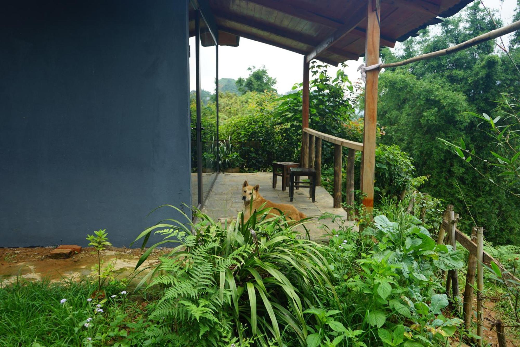 Sapa Hillcrest Homestay Lao Cai Exterior photo